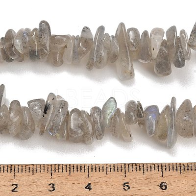 Natural Labradorite Beads Strands GG-CBAC61B-C06-01-1