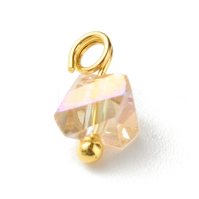 Electroplate Glass Charms PALLOY-JF00821-07-1