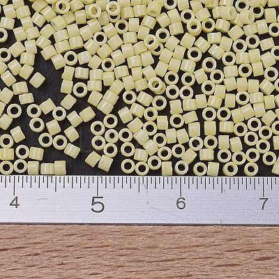 MIYUKI Delica Beads X-SEED-J020-DB2101-1