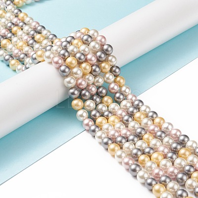 Shell Pearl Bead Strands BSHE-L017-17-1