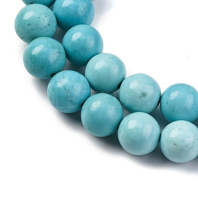 Dyed Natural Magnesite Beads Strands G-P558-A01-01B-1