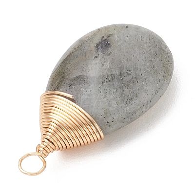 Natural Labradorite Pendants PALLOY-JF05086-02-1