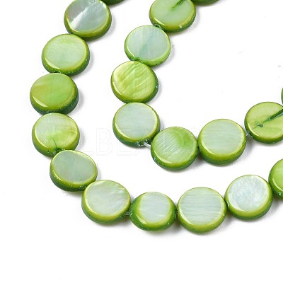 Freshwater Shell Beads Strands SHEL-T009-B16-04-1