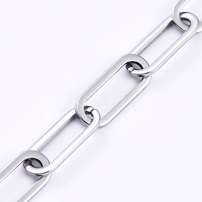 Non-Tarnish 304 Stainless Steel Paperclip Chains CHS-D031-03P-1