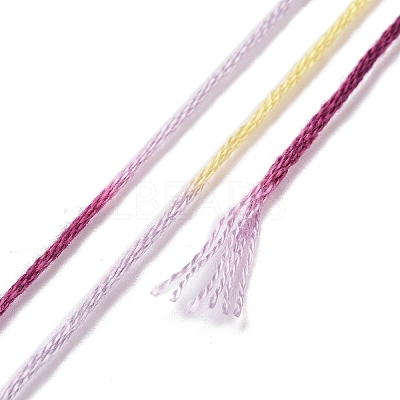 10 Skeins 6-Ply Polyester Embroidery Floss OCOR-K006-A76-1