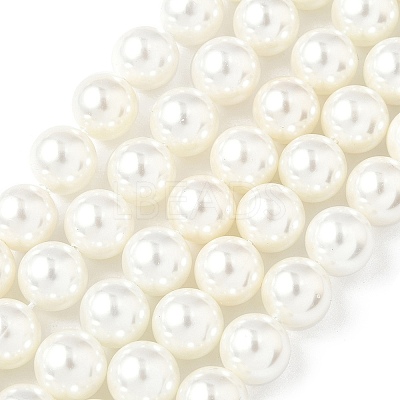 Shell Pearl Beads Strands BSHE-K015-10mm-04-1