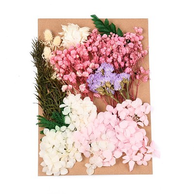 Dried Flower DIY-B018-10-1