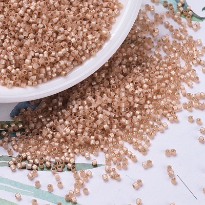 MIYUKI Delica Beads SEED-J020-DB0622-1