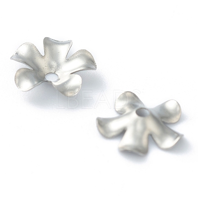 Non-Tarnish 304 Stainless Steel Bead Caps STAS-H149-25P-1