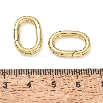 Brass Spring Gate Clasps KK-CBA50B0-29G-1