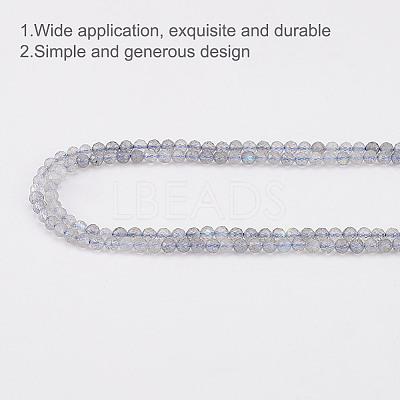 2 Strands Natural Labradorite Beads Strands G-GO0001-65-1