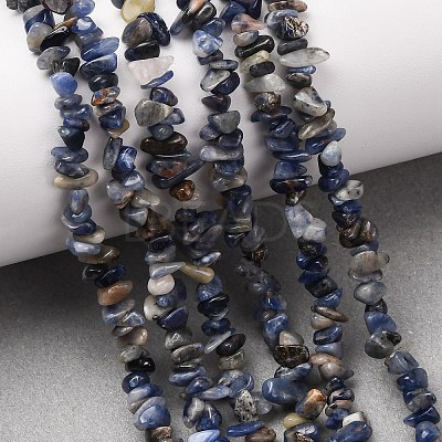 Natural Sodalite Chips Beads Strands X-F024-1