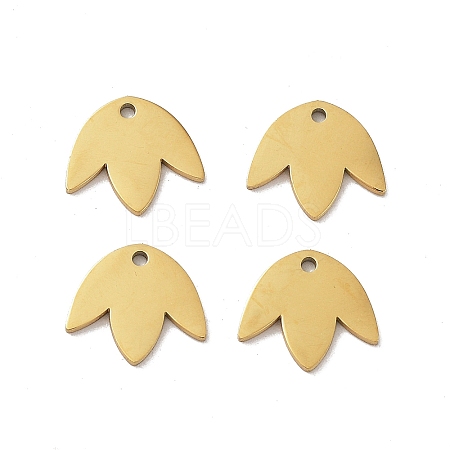 304 Stainless Steel Charms STAS-R226-03G-1
