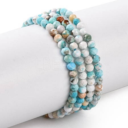 Natural Howlite Beads Strands G-C025-02A-07-1