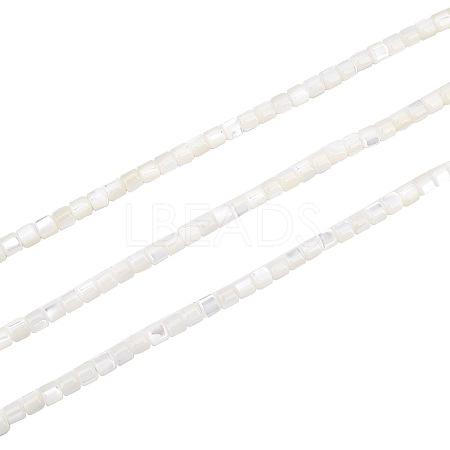 SUPERFINDINGS 3 Strands Natural Trochid Shell/Trochus Shell Beads Strands SSHEL-FH0001-12-1