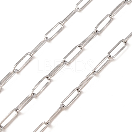 Non-Tarnish 3.28 Feet 304 Stainless Steel Paperclip Chains X-CHS-L022-02P-1