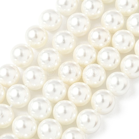 Shell Pearl Beads Strands BSHE-K015-10mm-04-1
