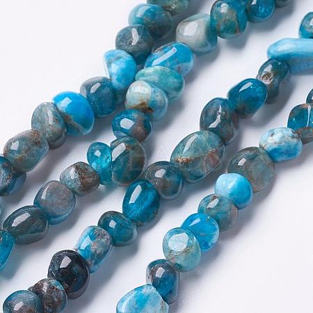 Natural Apatite Beads Strands G-F506-12-1