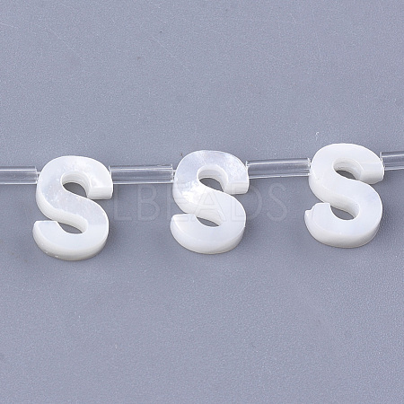 Natural Sea Shell Beads SHEL-T012-60S-1