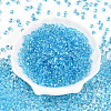 3/0 Baking Paint Glass Fringe Seed Beads SEED-A034-04G-1