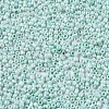 12/0 Glass Seed Beads SEED-S060-A-973-3