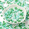 6/0 Opaque Baking Paint Glass Seed Beads X1-SEED-M012-02A-27-2