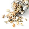 12 Styles Natural Mixed Shell Beads SSHEL-YW0001-05-3
