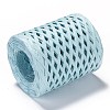 Raffia Ribbon OCOR-I012-A20-2