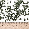 MIYUKI Round Rocailles Beads X-SEED-G008-RR0501-4
