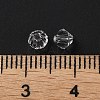 Transparent Glass Beads GGLA-Z004-05W-4