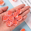 Transparent Enamel Acrylic Beads TACR-S155-004A-5
