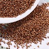 MIYUKI Delica Beads X-SEED-J020-DB0421-1