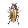 Beetle Enamel Pin JEWB-P012-09AS-1