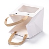 210g Rectangle Kraft Paper Bags ABAG-I007-B02-3