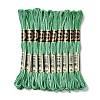 10 Skeins 6-Ply Polyester Embroidery Floss OCOR-K006-A25-1