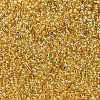 MIYUKI Round Rocailles Beads X-SEED-G009-RR0003-4