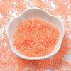 Transparent Colours Glass Seed Beads SEED-H003-01B-2