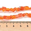 Handmade Millefiori Lampwork Beads Strands LAMP-P070-02A-05-4