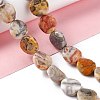 Natural Crazy Lace Agate Beads Strands G-O120-13-2