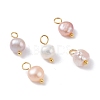 Natural Cultured Freshwater Pearl Charms PALLOY-JF01098-02-1