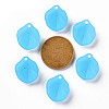 Transparent Frosted Acrylic Pendants MACR-S371-02A-755-3