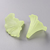 Transparent Acrylic Beads BSF796-C17-3