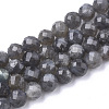 Natural Labradorite Beads Strands G-S345-6mm-005-1