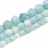 Natural Amazonite Beads Strands G-S332-10mm-009-2