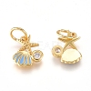 Brass Charms X-ZIRC-L070-79G-2