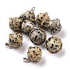 Natural Dalmatian Jasper Pendants G-B041-01P-06-1