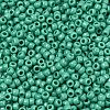 TOHO 8/0 Round Beads X-SEED-TR08-0055D-2