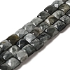 Natural Eagle Eye Stone Beads Strands G-C109-A15-02-1
