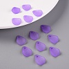 Transparent Frosted Acrylic Pendants MACR-S371-09A-747-6
