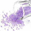 11/0 Grade A Transparent Glass Seed Beads X-SEED-N001-E-311-1